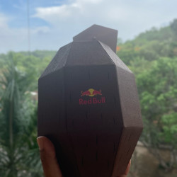 Thank you @redbullindia & @radhad28  for the new summer flavour.
#redbullsummeredition #givesyouwings #sustainablelifestyle #recycle #noplastic #coconutberryredbull